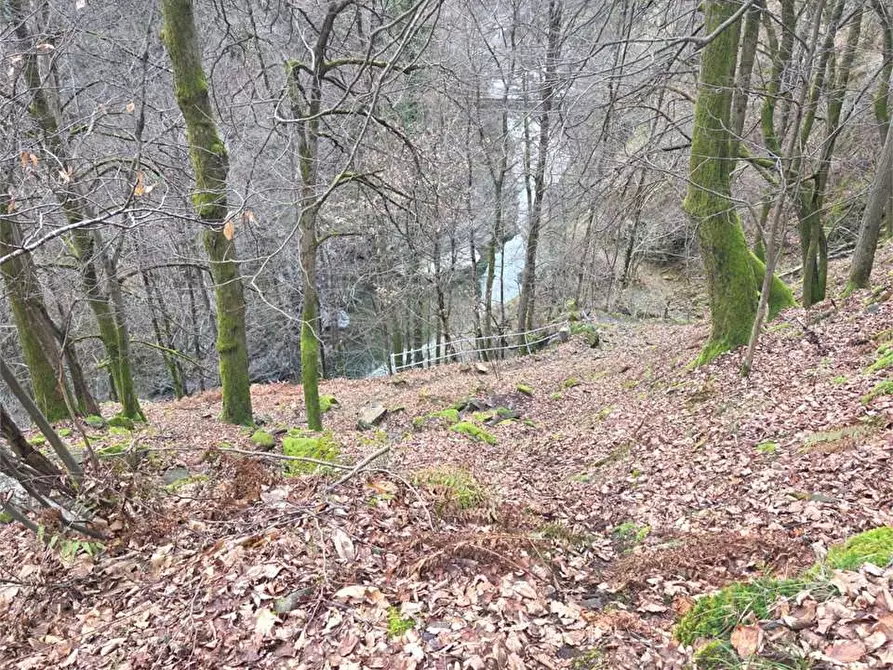Immagine 14 di Rustico / casale in vendita  in colombetti a Calasca-Castiglione