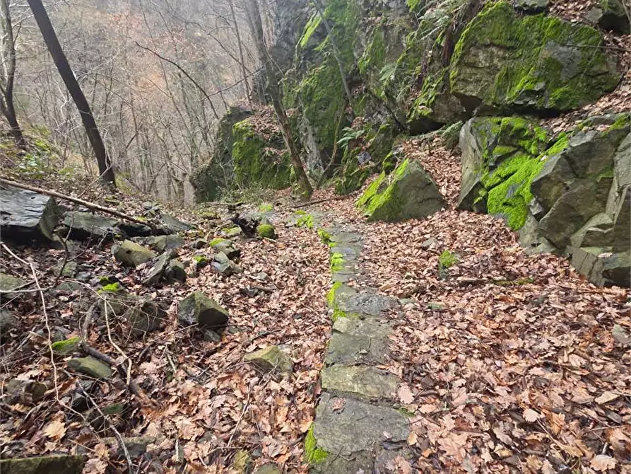 Immagine 15 di Rustico / casale in vendita  in colombetti a Calasca-Castiglione