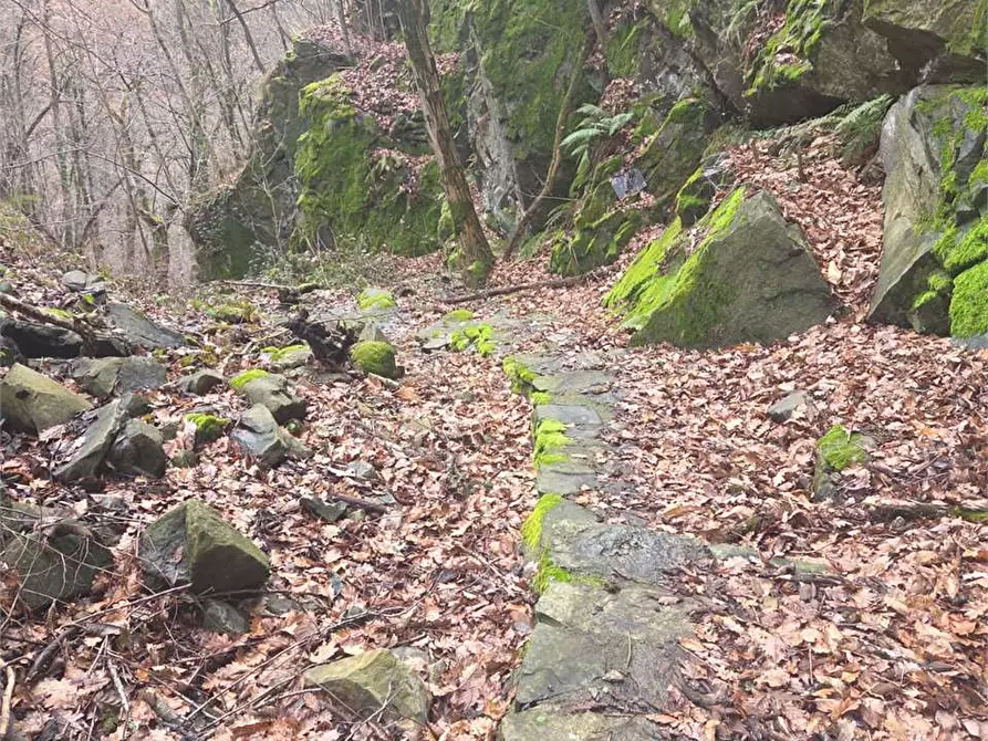 Immagine 16 di Rustico / casale in vendita  in colombetti a Calasca-Castiglione