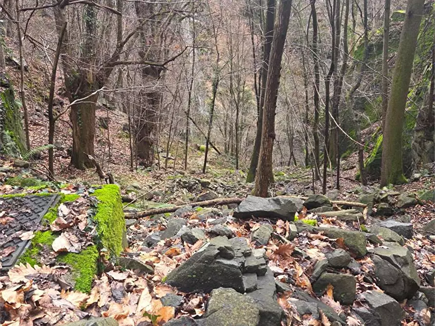 Immagine 17 di Rustico / casale in vendita  in colombetti a Calasca-Castiglione