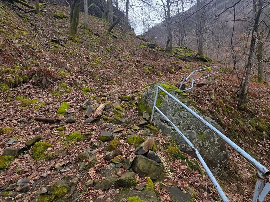Immagine 18 di Rustico / casale in vendita  in colombetti a Calasca-Castiglione