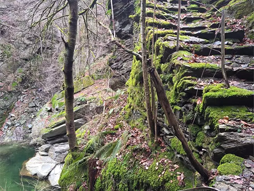 Immagine 19 di Rustico / casale in vendita  in colombetti a Calasca-Castiglione
