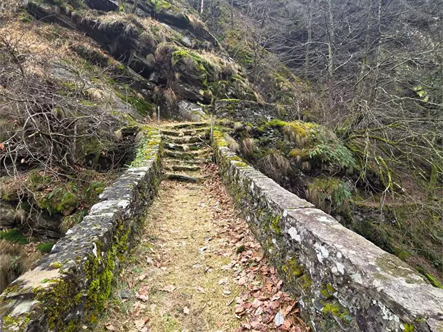 Immagine 20 di Rustico / casale in vendita  in colombetti a Calasca-Castiglione