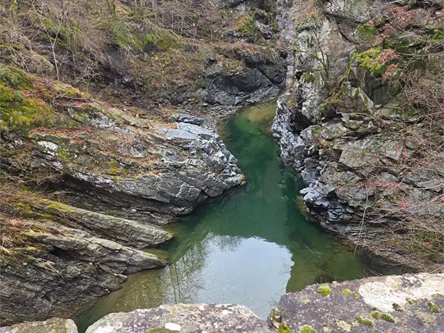 Immagine 4 di Rustico / casale in vendita  in colombetti a Calasca-Castiglione