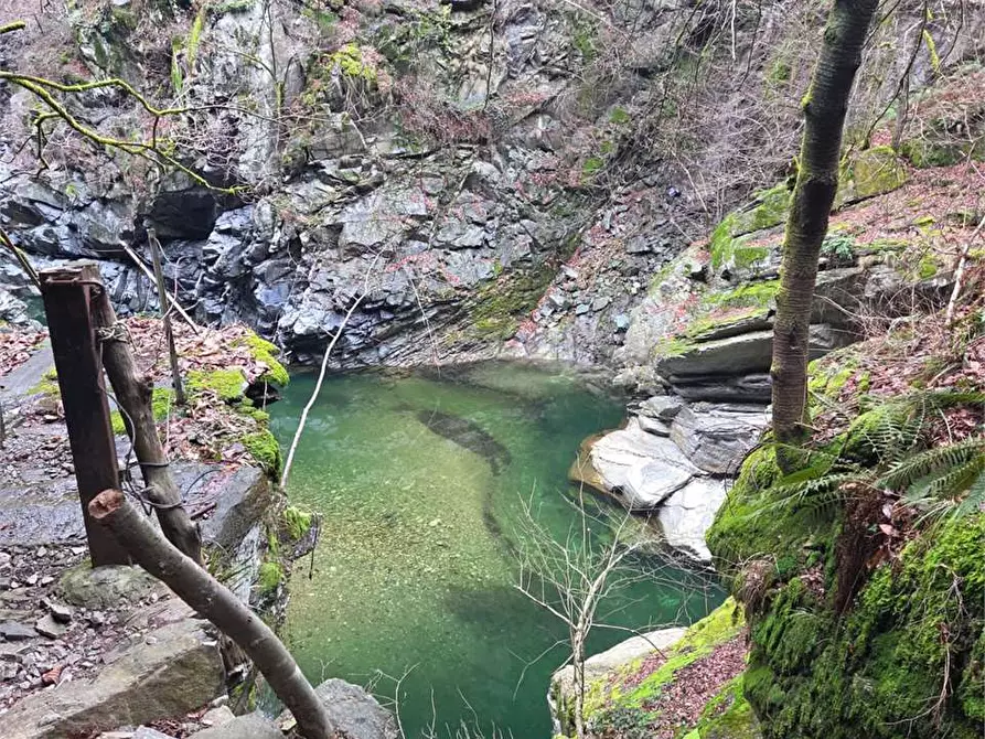 Immagine 5 di Rustico / casale in vendita  in colombetti a Calasca-Castiglione