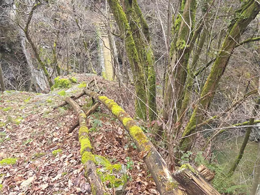 Immagine 22 di Rustico / casale in vendita  in colombetti a Calasca-Castiglione