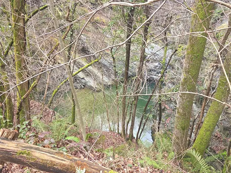 Immagine 21 di Rustico / casale in vendita  in colombetti a Calasca-Castiglione