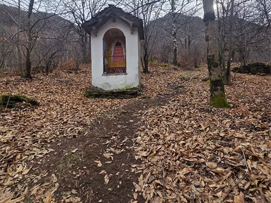 Immagine 24 di Rustico / casale in vendita  in colombetti a Calasca-Castiglione