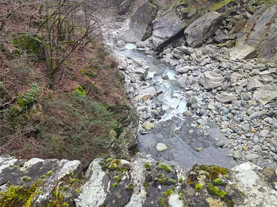 Immagine 23 di Rustico / casale in vendita  in colombetti a Calasca-Castiglione