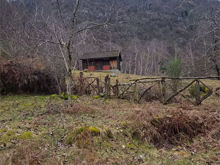 Immagine 2 di Rustico / casale in vendita  in colombetti a Calasca-Castiglione