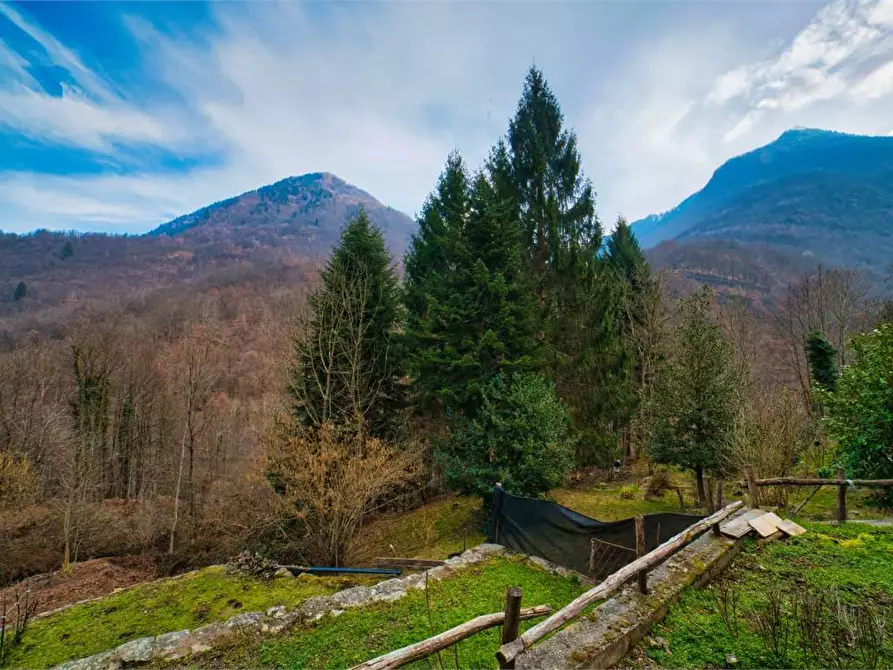 Immagine 8 di Casa indipendente in vendita  in MOLINI a Calasca-Castiglione