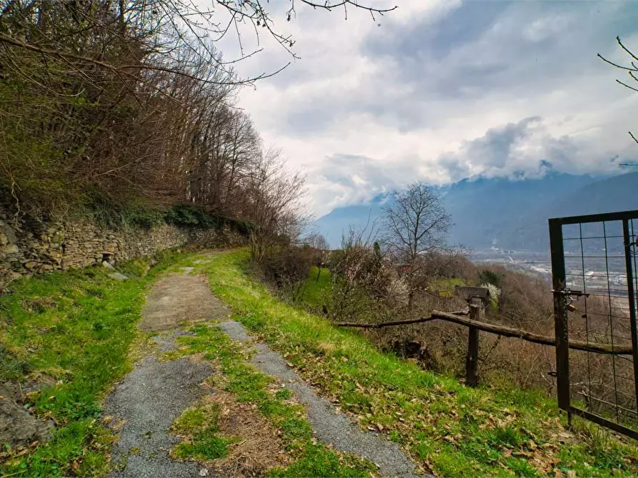 Immagine 41 di Casa indipendente in vendita  in  Mongiardino a Villadossola