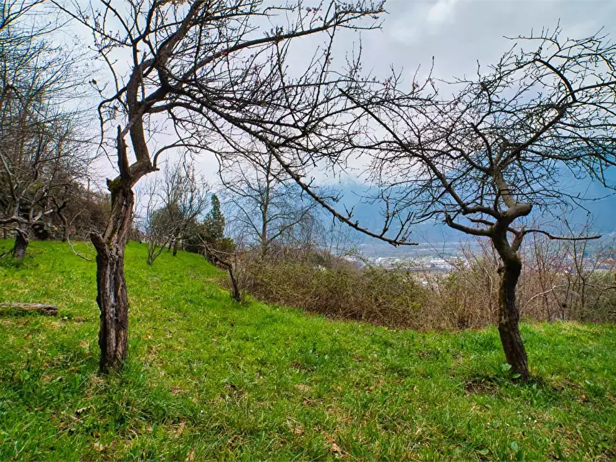 Immagine 3 di Casa indipendente in vendita  in  Mongiardino a Villadossola