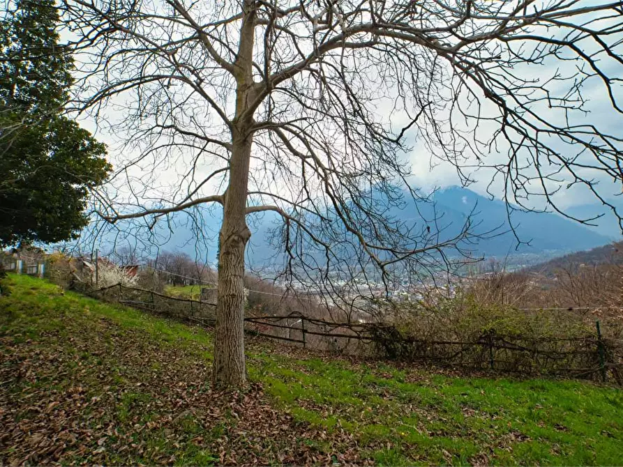 Immagine 42 di Casa indipendente in vendita  in  Mongiardino a Villadossola