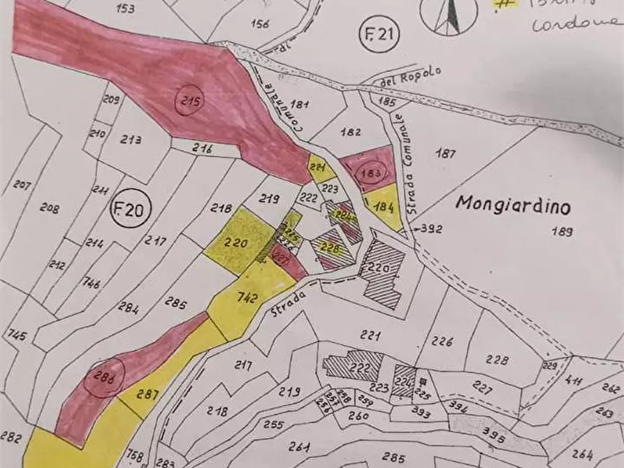 Immagine 46 di Casa indipendente in vendita  in  Mongiardino a Villadossola