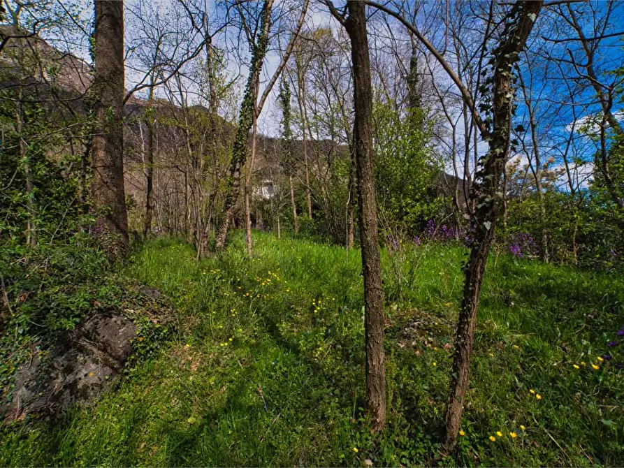 Immagine 24 di Appartamento in vendita  in  Garibaldi a Premosello-Chiovenda