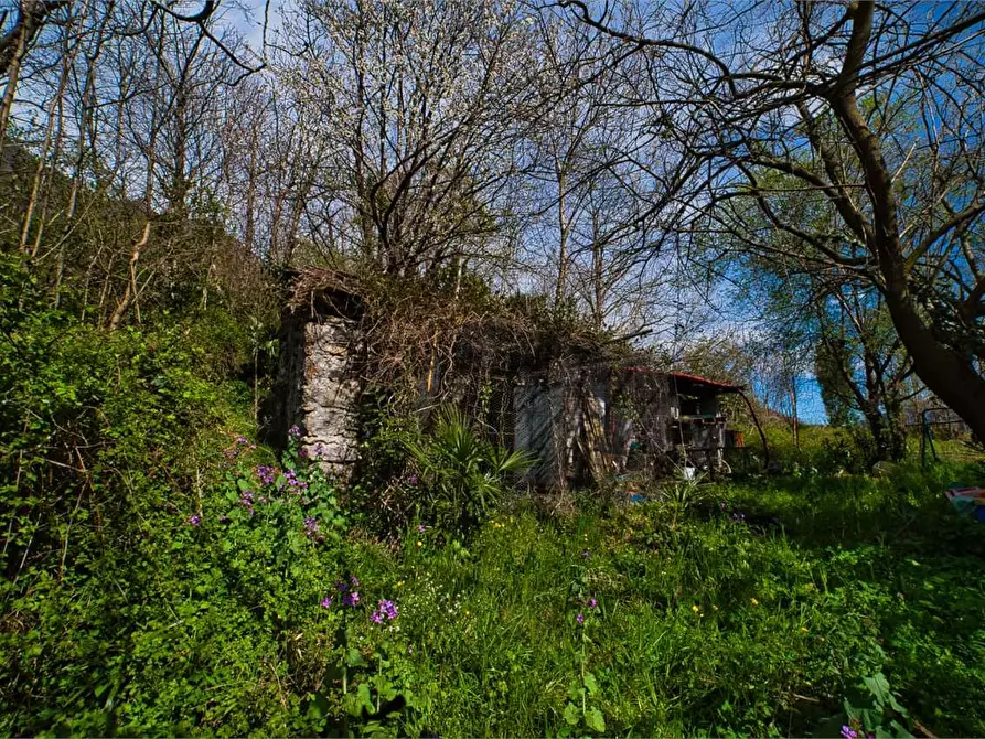 Immagine 26 di Appartamento in vendita  in  Garibaldi a Premosello-Chiovenda