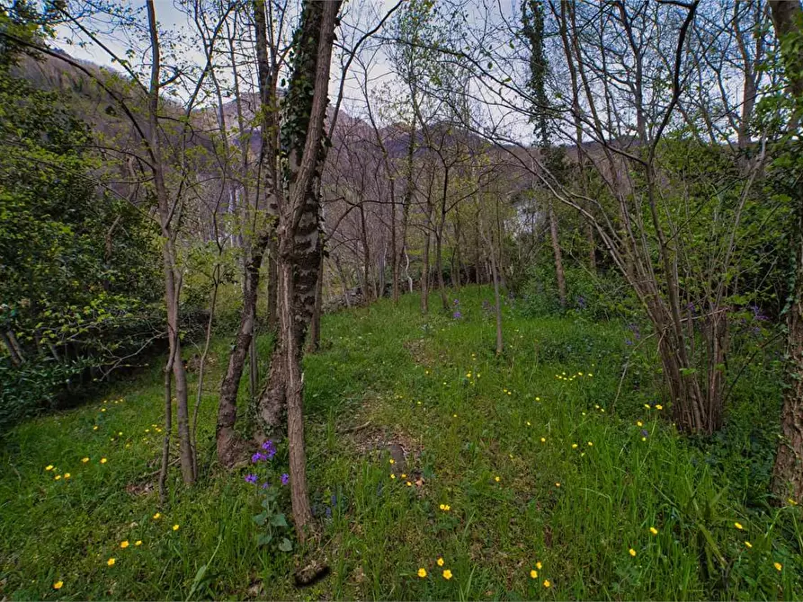 Immagine 25 di Appartamento in vendita  in  Garibaldi a Premosello-Chiovenda