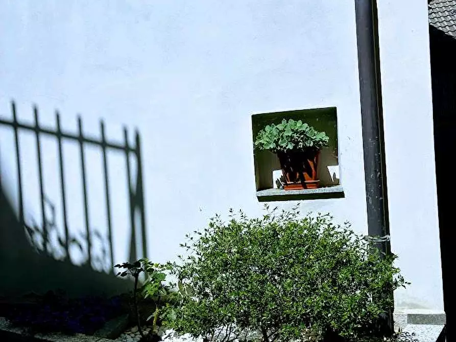 Immagine 11 di Casa indipendente in vendita  in crotto 20 a Villadossola