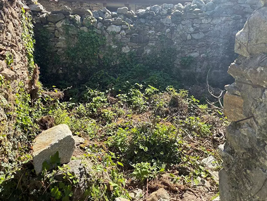 Immagine 21 di Rustico / casale in vendita  in arzo a Casale Corte Cerro