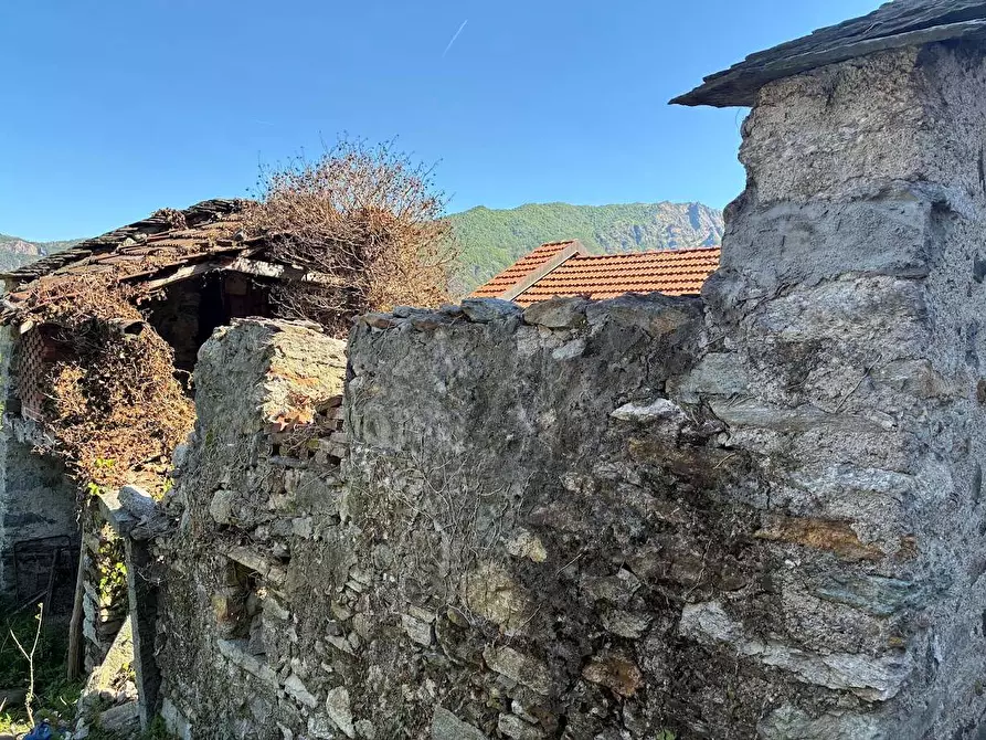 Immagine 5 di Rustico / casale in vendita  in arzo a Casale Corte Cerro