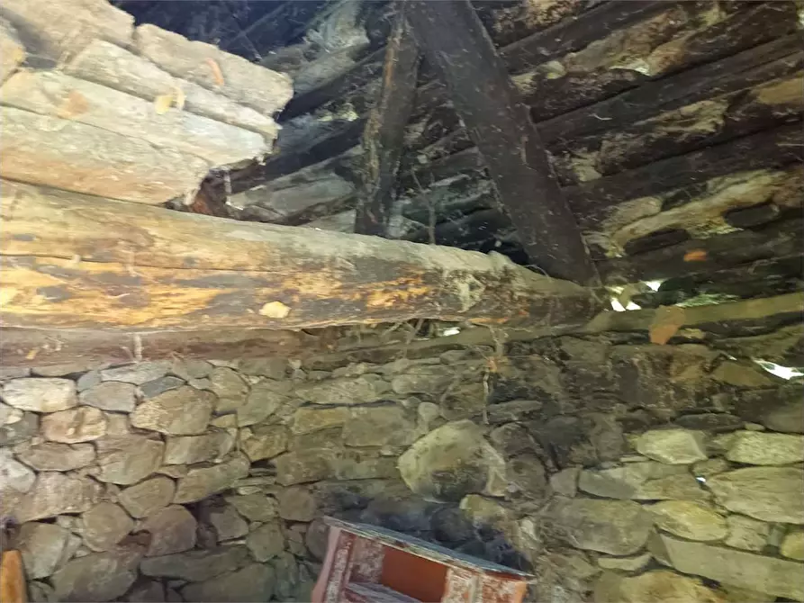 Immagine 35 di Baita in vendita  in ALPE PATELLI a Calasca-Castiglione