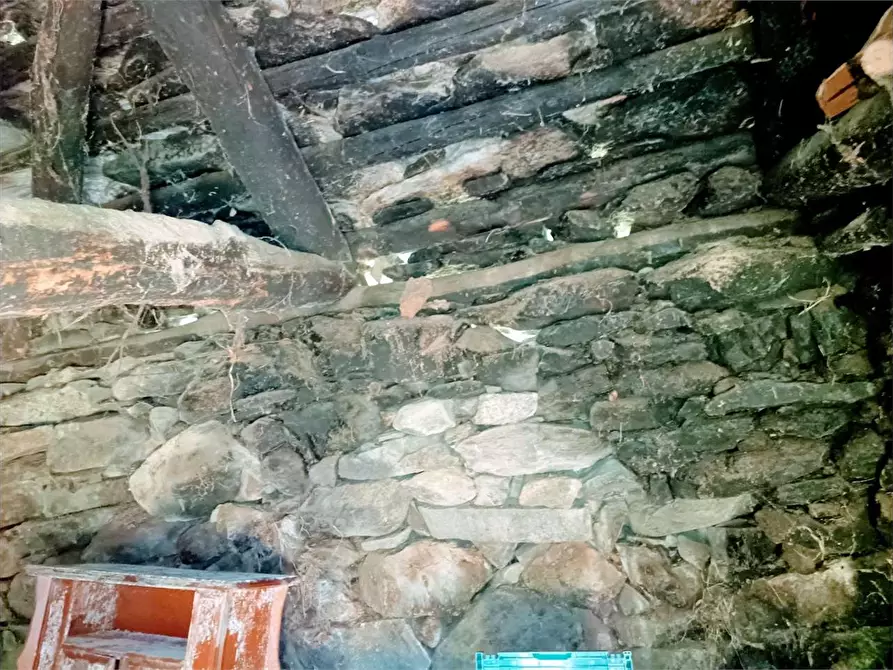 Immagine 36 di Baita in vendita  in ALPE PATELLI a Calasca-Castiglione