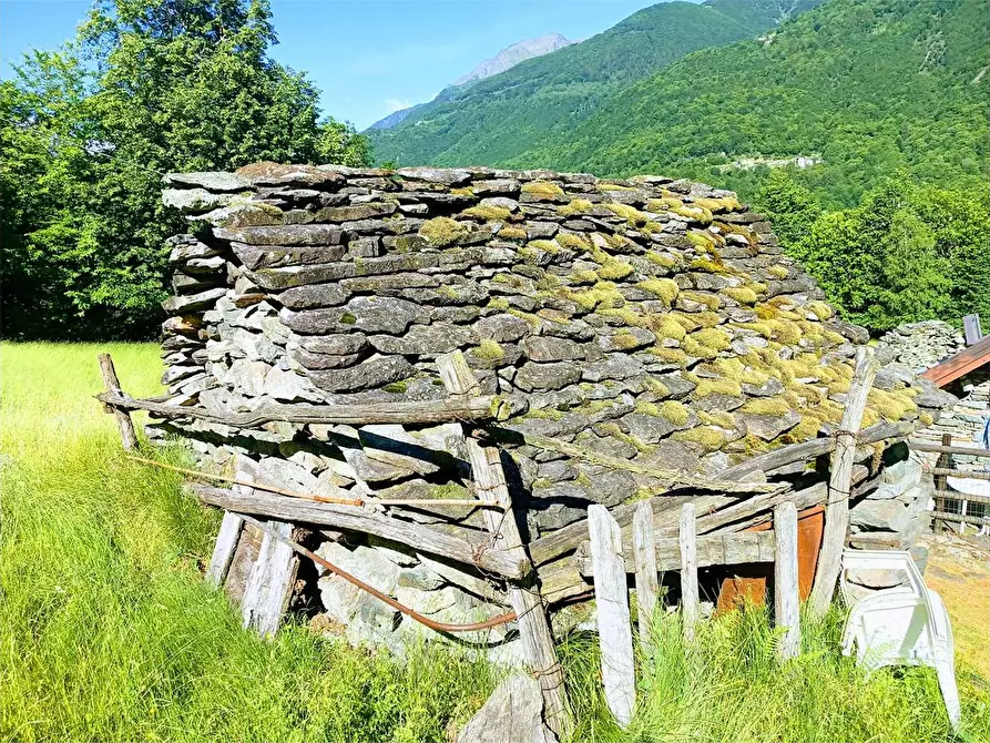 Immagine 32 di Baita in vendita  in ALPE PATELLI a Calasca-Castiglione