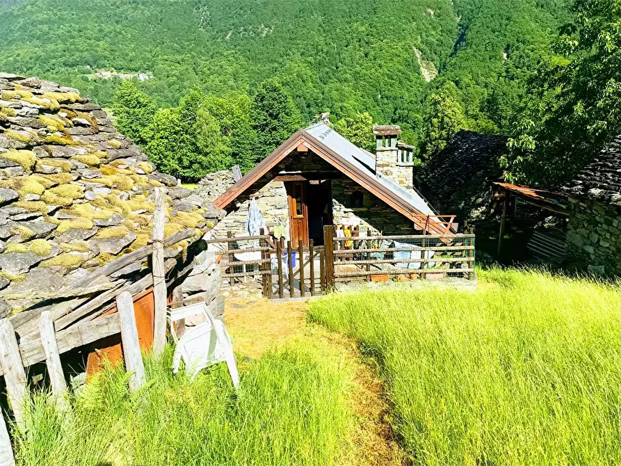 Immagine 39 di Baita in vendita  in ALPE PATELLI a Calasca-Castiglione