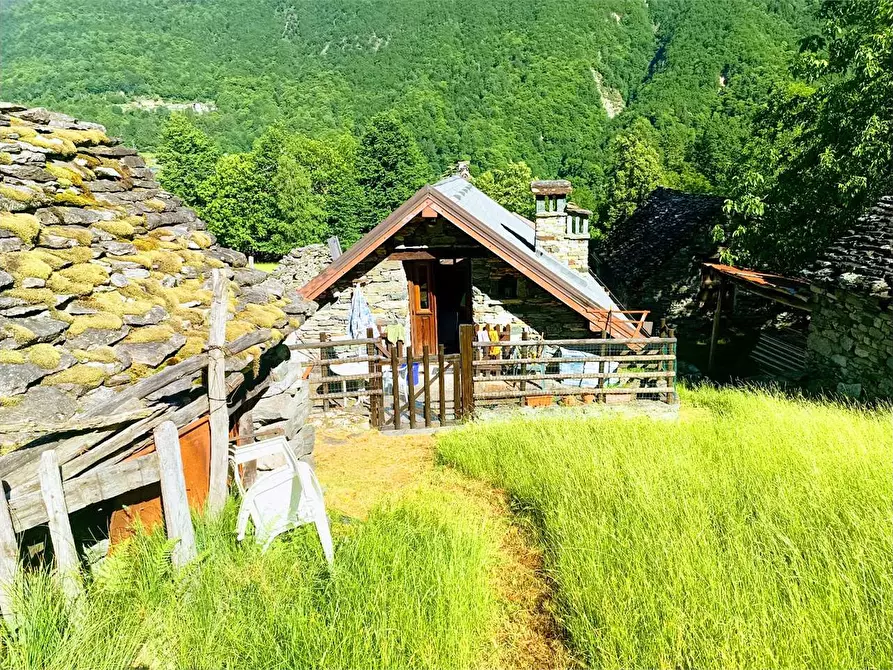 Immagine 33 di Baita in vendita  in ALPE PATELLI a Calasca-Castiglione