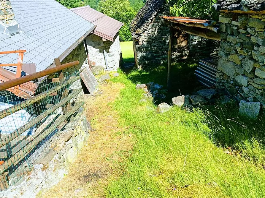 Immagine 57 di Baita in vendita  in ALPE PATELLI a Calasca-Castiglione