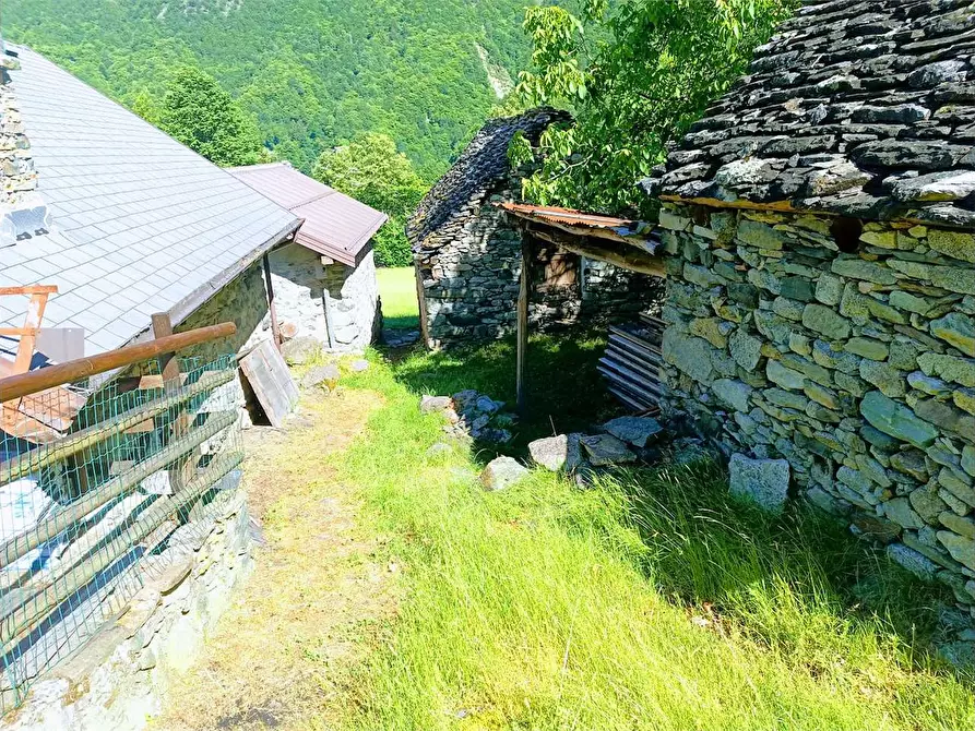 Immagine 58 di Baita in vendita  in ALPE PATELLI a Calasca-Castiglione