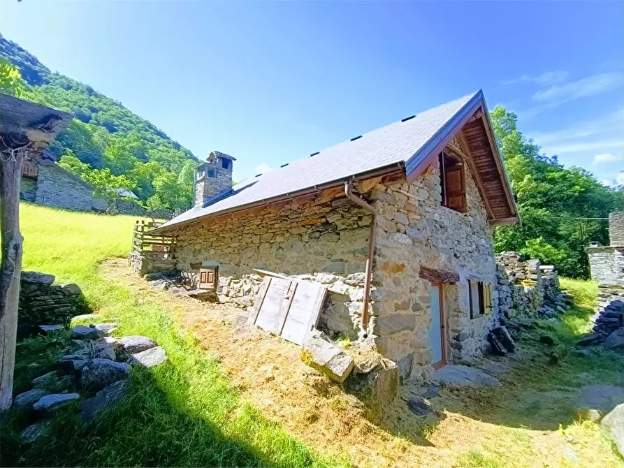 Immagine 62 di Baita in vendita  in ALPE PATELLI a Calasca-Castiglione