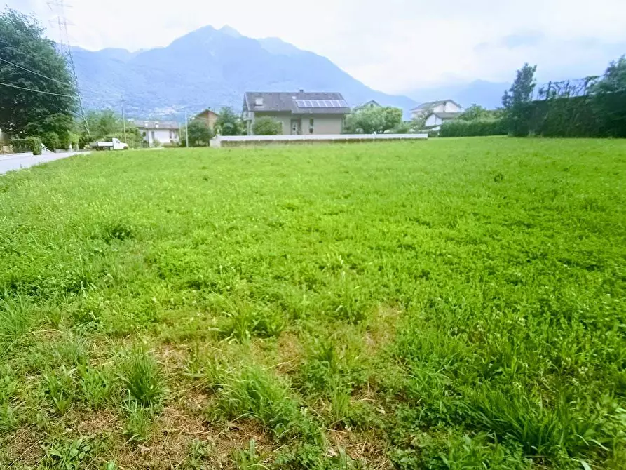 Immagine 5 di Terreno edificabile in vendita  in barbierato a Villadossola