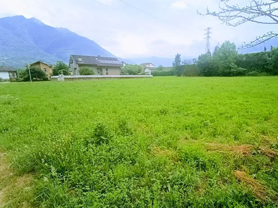 Immagine 16 di Terreno edificabile in vendita  in barbierato a Villadossola