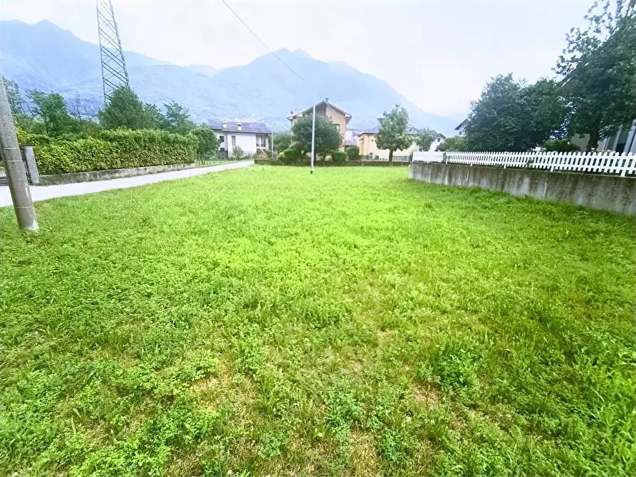 Immagine 14 di Terreno edificabile in vendita  in barbierato a Villadossola