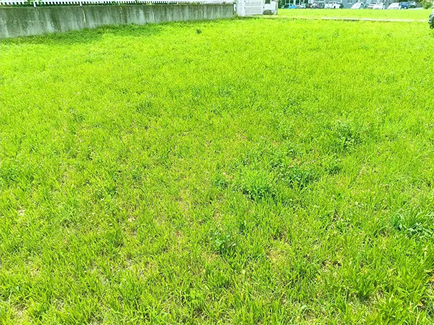 Immagine 8 di Terreno edificabile in vendita  in barbierato a Villadossola