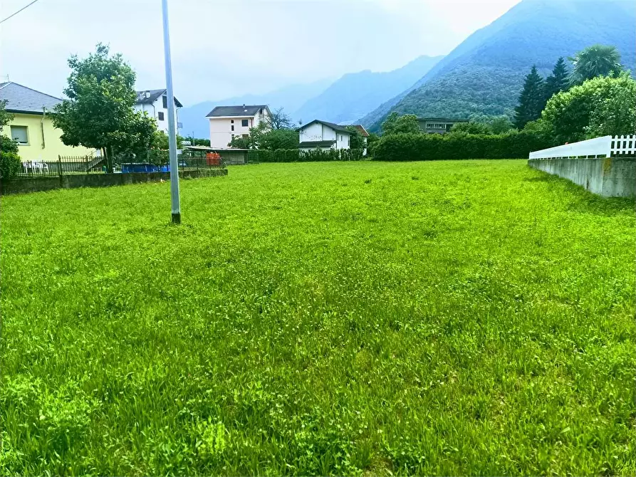 Immagine 7 di Terreno edificabile in vendita  in barbierato a Villadossola