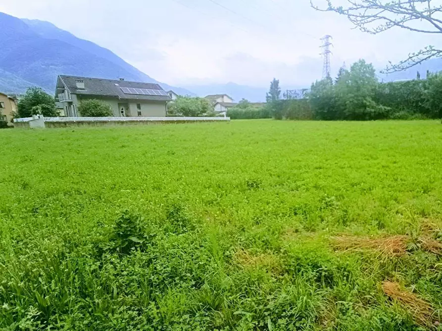 Immagine 29 di Terreno edificabile in vendita  in barbierato a Villadossola