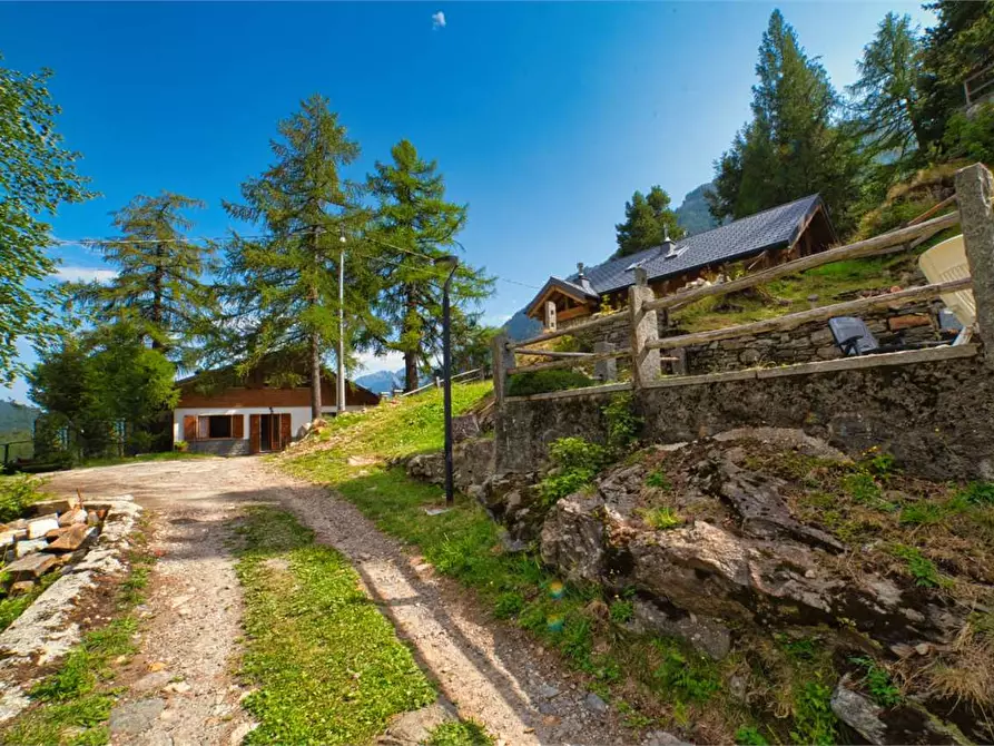 Immagine 3 di Appartamento in vendita  in loc.boschetto n 28 a Varzo