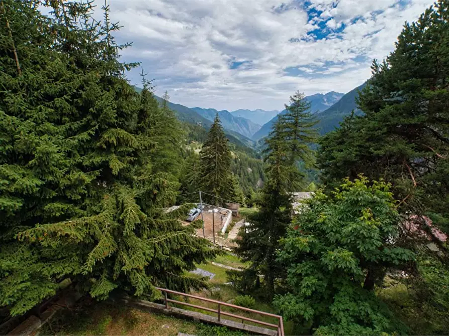 Immagine 7 di Appartamento in vendita  in loc.boschetto n 28 a Varzo