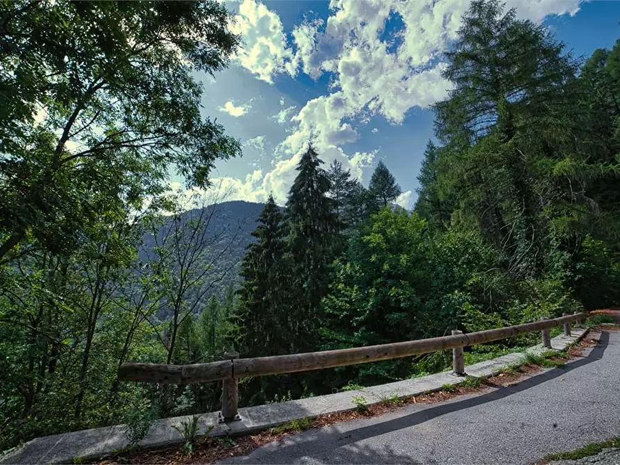 Immagine 43 di Porzione di casa in vendita  in SOPRA a Varzo