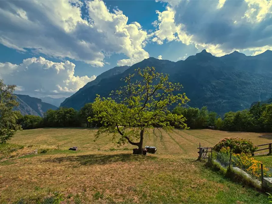 Immagine 6 di Porzione di casa in vendita  in SOPRA a Varzo
