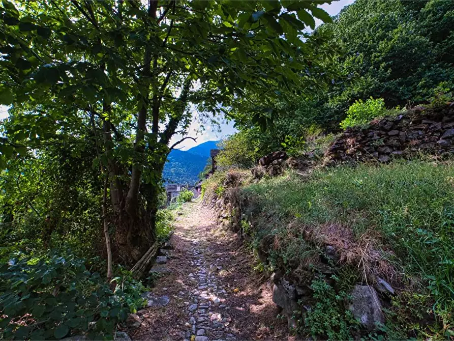 Immagine 39 di Porzione di casa in vendita  in SOPRA a Varzo