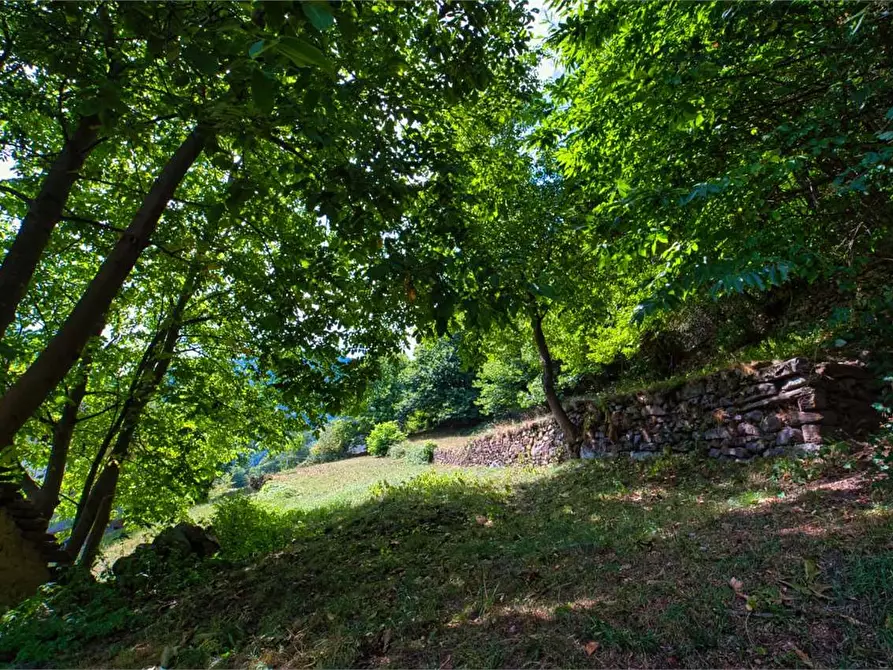 Immagine 38 di Porzione di casa in vendita  in SOPRA a Varzo