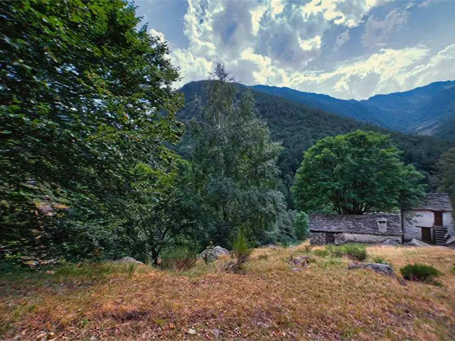 Immagine 3 di Baita in vendita  in VAL LOANA a Malesco