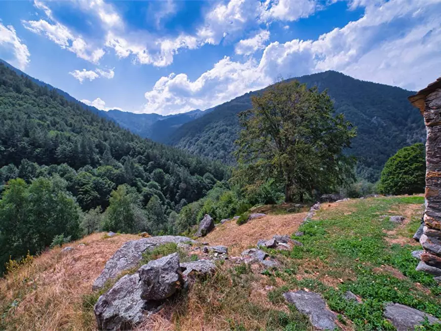 Immagine 9 di Baita in vendita  in VAL LOANA a Malesco