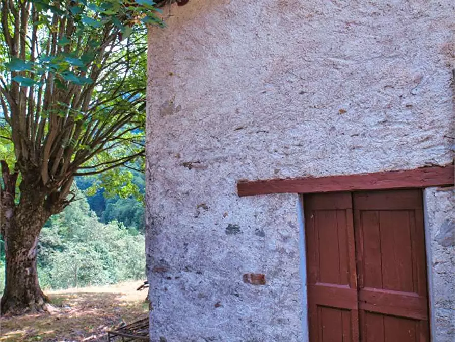 Immagine 8 di Baita in vendita  in VAL LOANA a Malesco