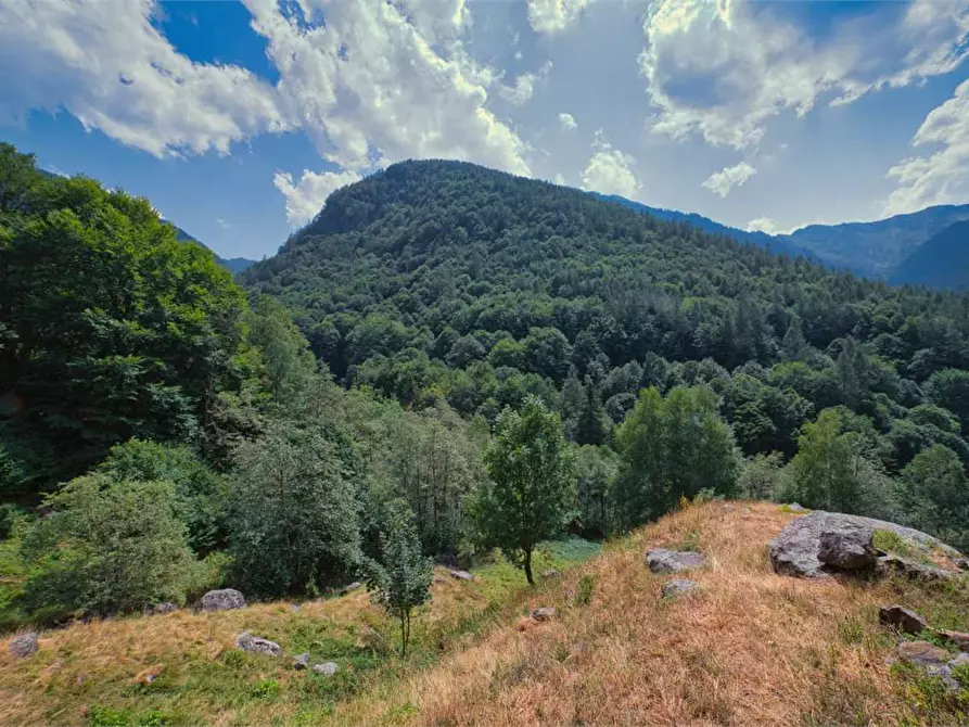 Immagine 14 di Baita in vendita  in VAL LOANA a Malesco