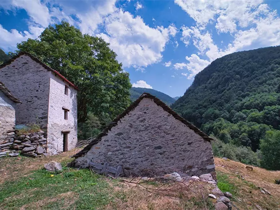 Immagine 22 di Baita in vendita  in VAL LOANA a Malesco